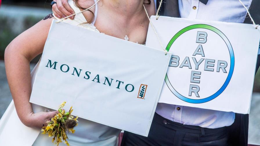 Bayer cerrará la compra del fabricante de transgénicos Monsanto el 7 de junio Bayer cerrará la compra del fabricante de transgénicos Monsanto el 7 de junio