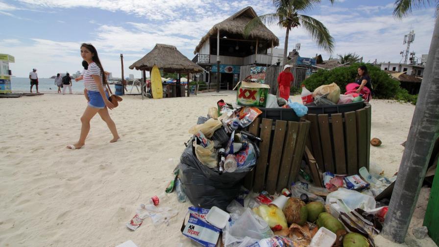 IIBI recibe expertos de 10 países que trabajan en el manejo de contaminantes orgánicos