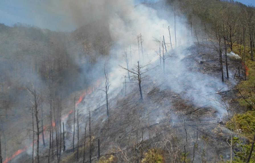 Incendio forestal afecta áreas de Pinar Bonito y Río Grande en Constanza