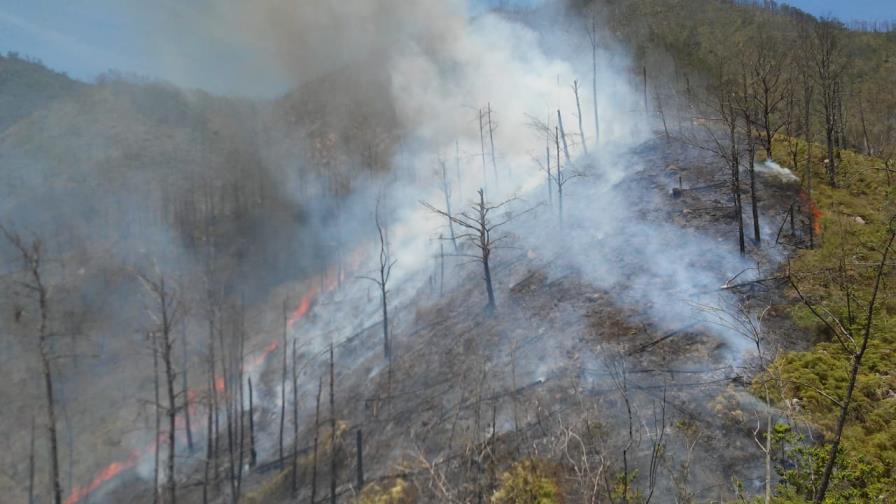 Incendio forestal afecta áreas de Pinar Bonito y Río Grande en Constanza Incendio forestal afecta áreas de Pinar Bonito y Río Grande en Constanza