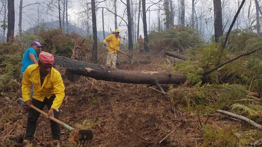 Sofocan incendio que afectó Pinar Bonito en Constanza