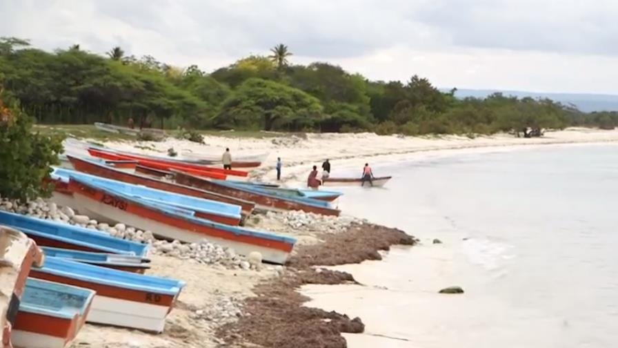 Actividad pesquera en el país mueve cerca de 18,000 toneladas al año
