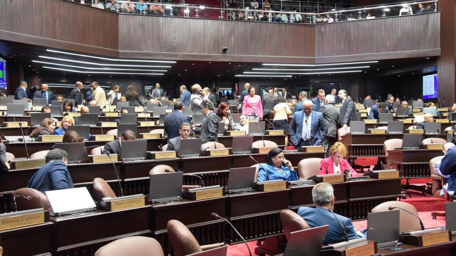 Se profundiza la crisis de grupos en el PLD por la Ley de Partidos