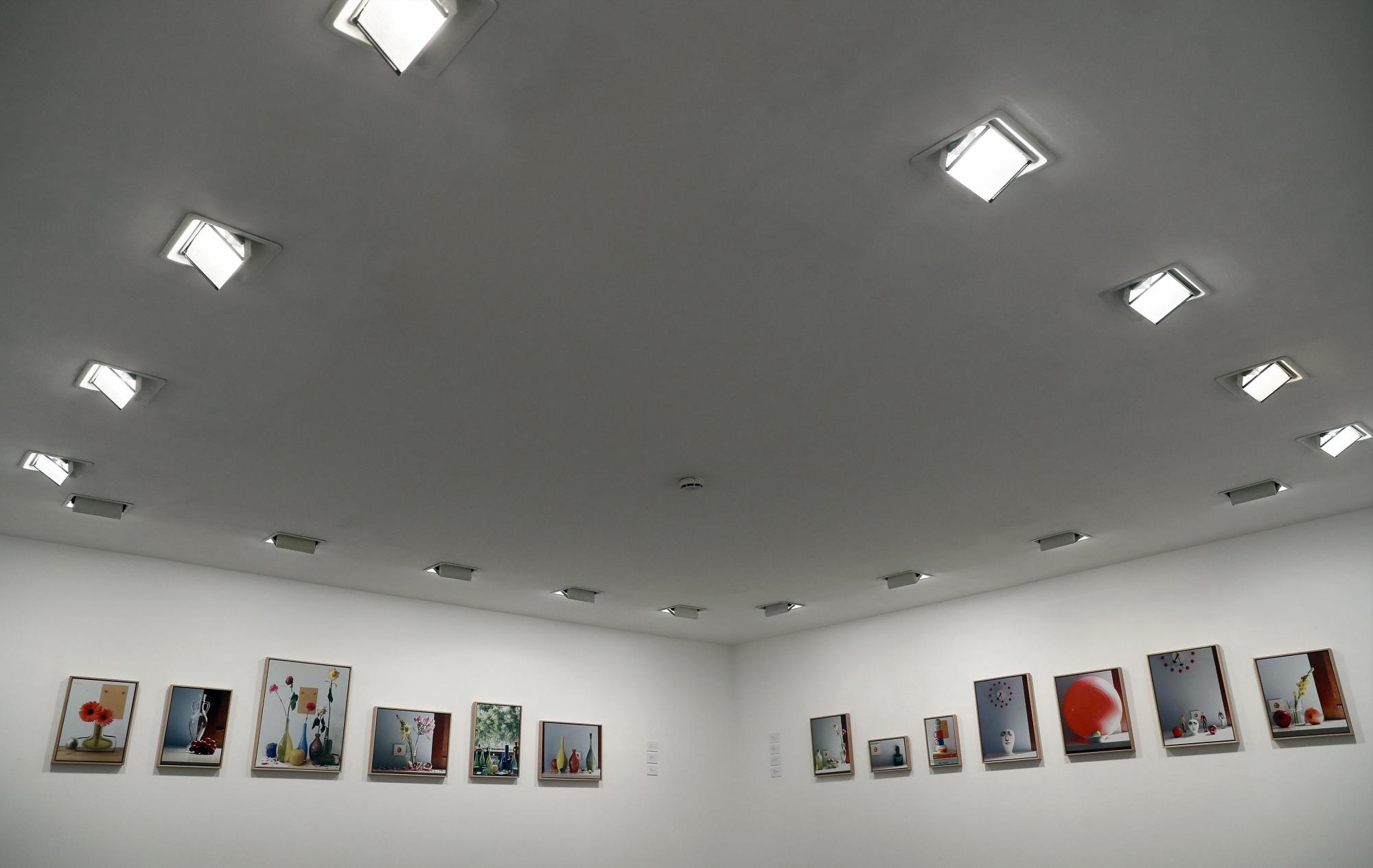 Frutas, vasijas con flores, margaritas, rosas secas, ramas, vasos, esculturas, huevos, platos, licoreras, diferentes objetos combinados y hasta el propio gato del autor componen estas fotografía.