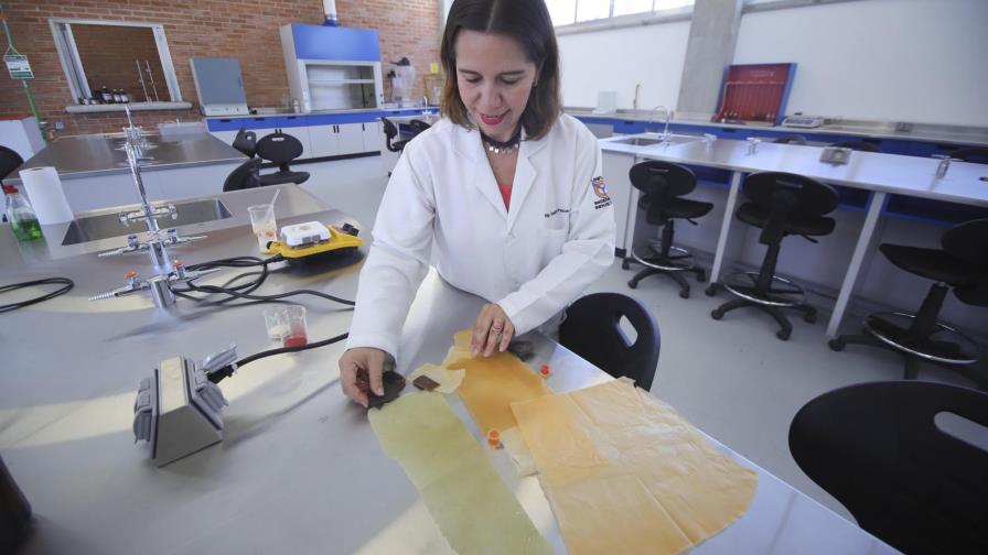 Crean un plástico biodegradable a base de jugo de nopal Crean un plástico biodegradable a base de jugo de nopal