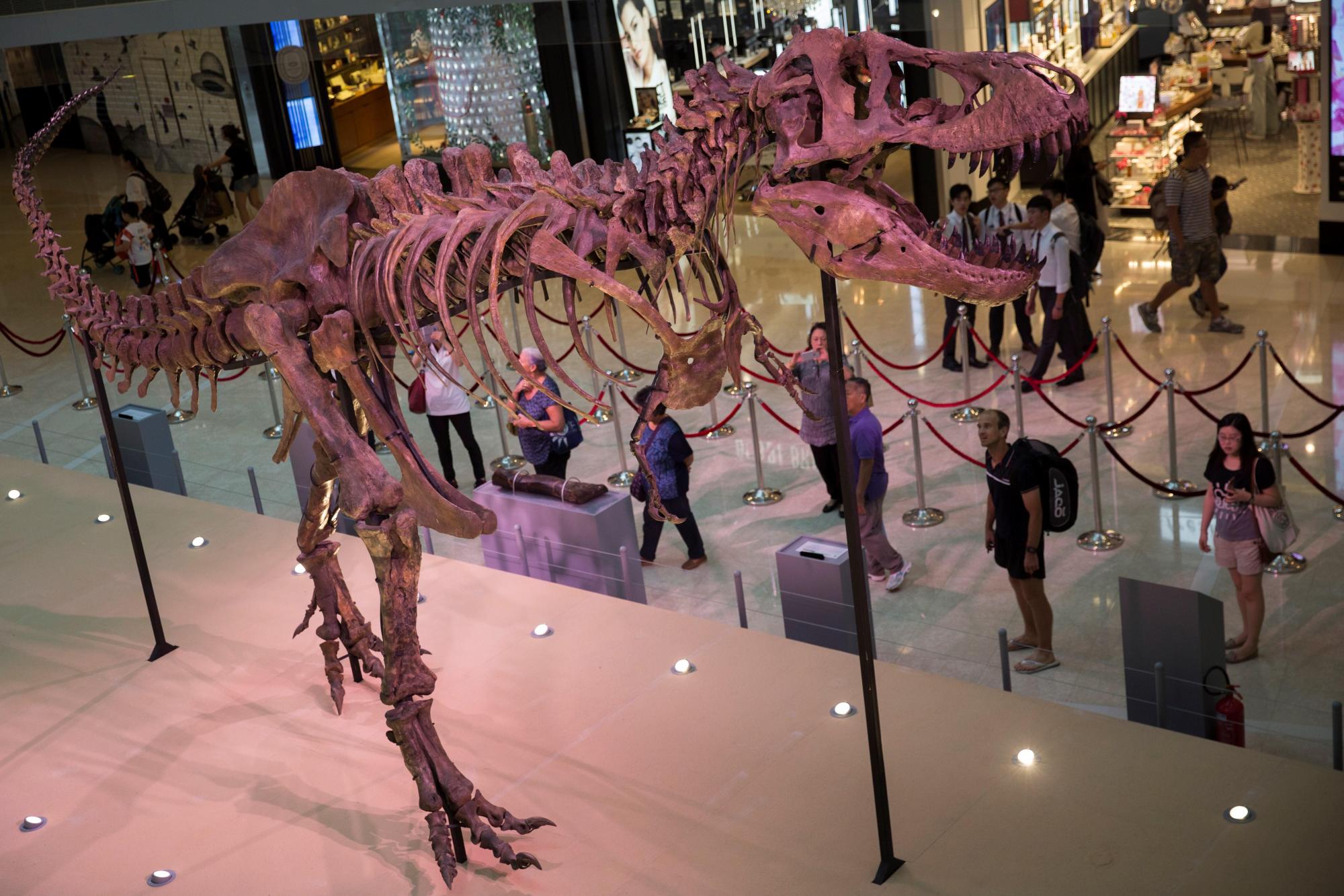 Esqueleto de tiranosaurio