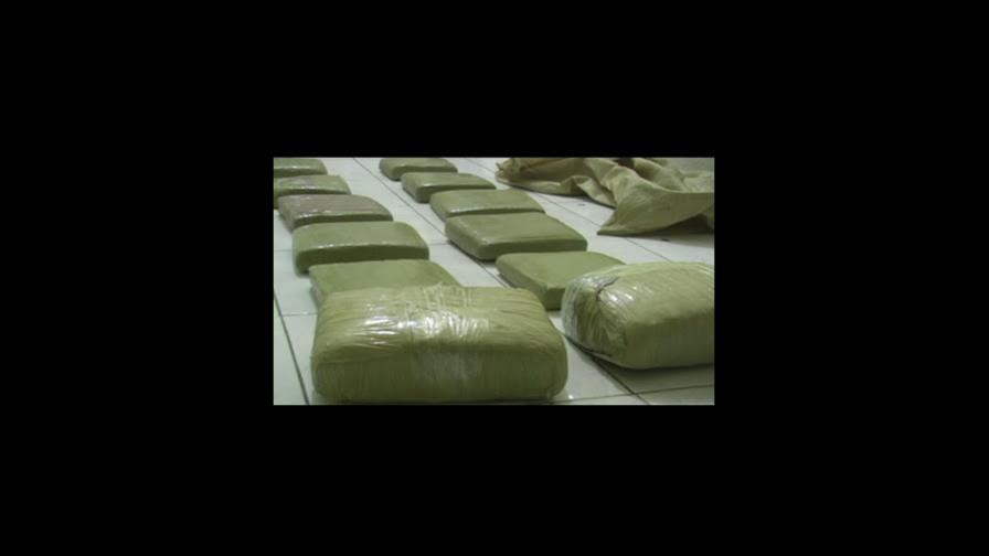 Ocupan 70 libras de marihuana en allanamiento en San Juan