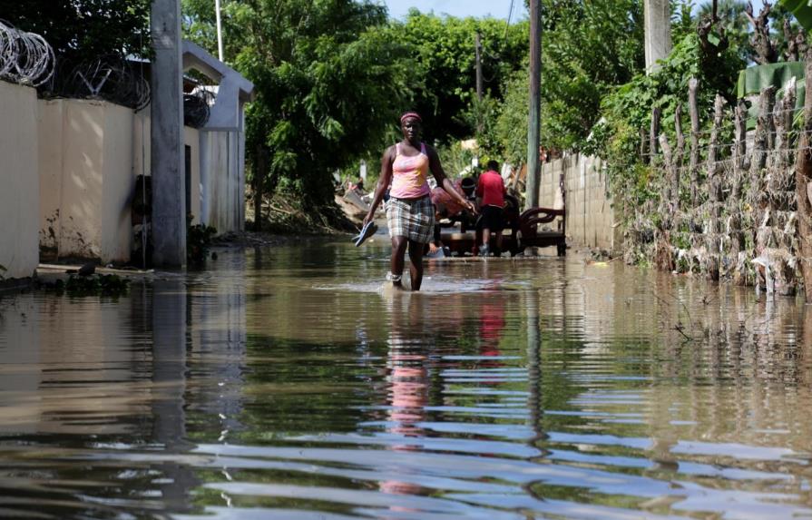 Sin manglares, 18 millones más de personas sufrirían inundaciones cada año