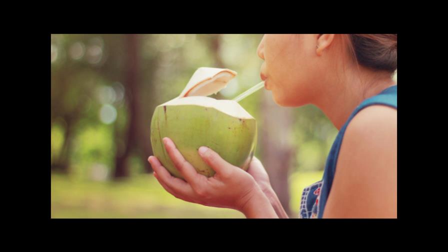 Autoridades dominicanas buscan incrementar exportaciones de coco
Buscan fortalecer sector coco