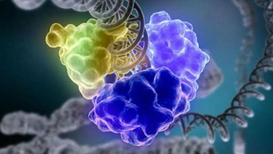 Un compuesto natural del cuerpo puede dar lugar a nuevo fármaco antiviral Un compuesto natural del cuerpo puede dar lugar a nuevo fármaco antiviral