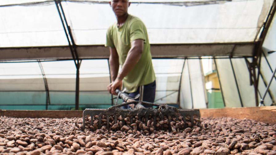 Bagrícola ha prestado RD$6 mil millones a productores de Monte Plata 