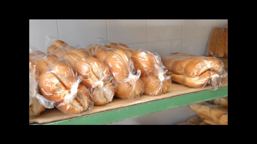 Panaderos advierten que los precios del pan podrían aumentar Panaderos advierten que los precios del pan podrían aumentar