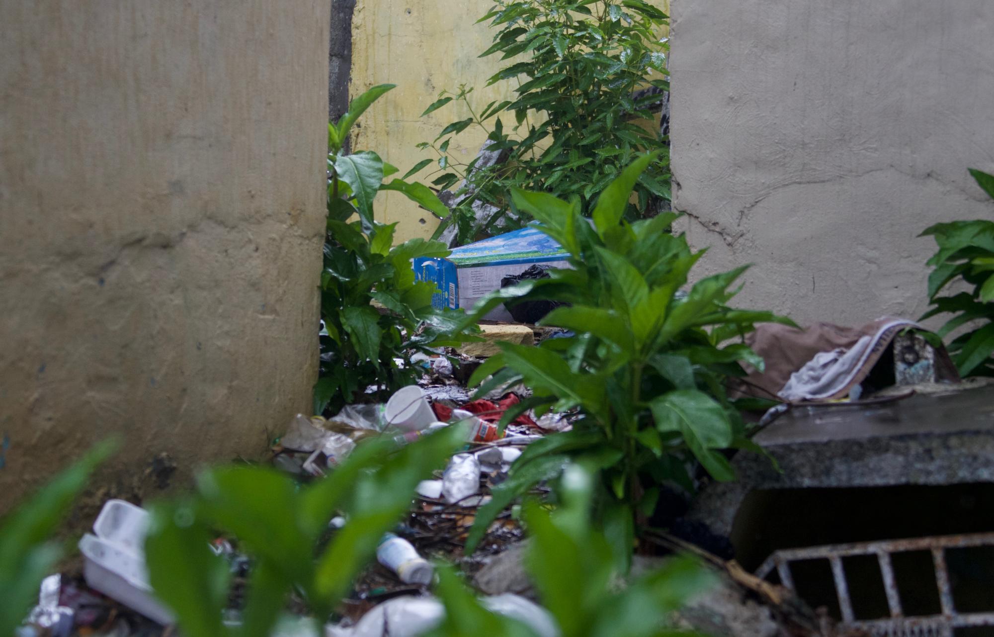 Un basurero improvisado cubre cerca del 20% del terreno.