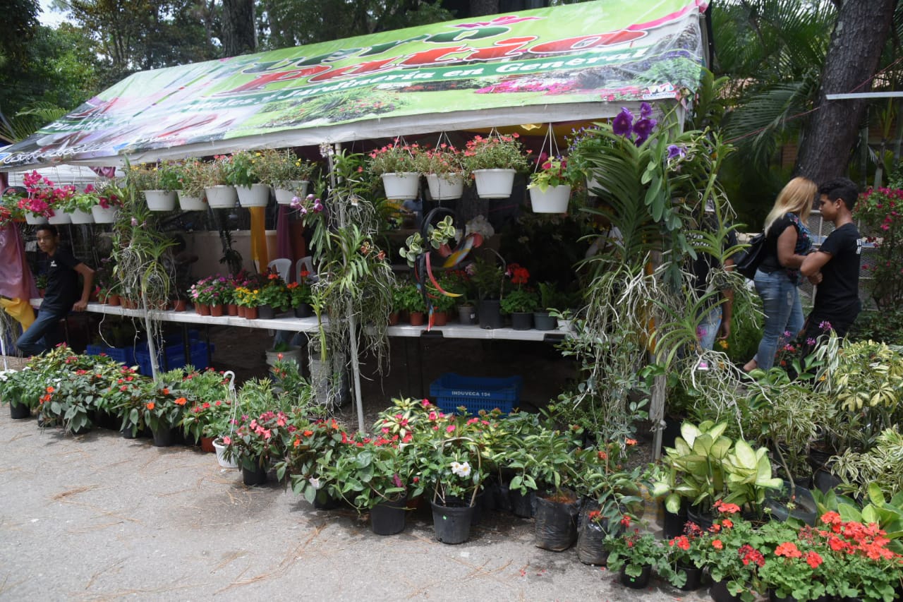 Hubo una gran variedad de exhibición de  flores