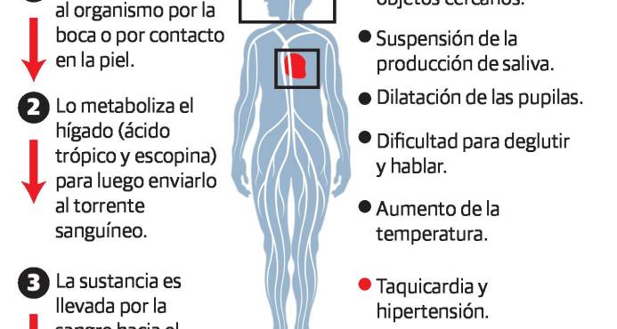 Infografía