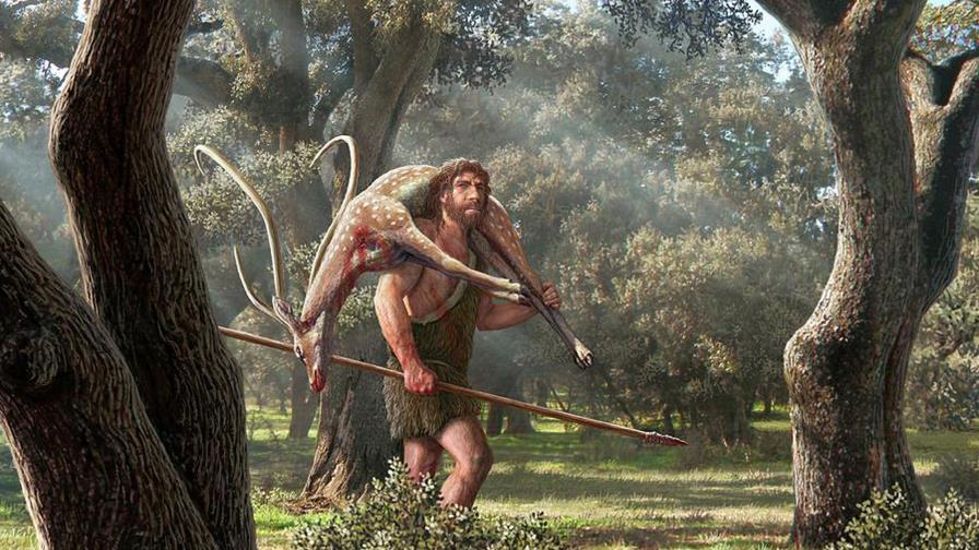 Los neandertales cooperaban para cazar con lanzas a cortas distancias