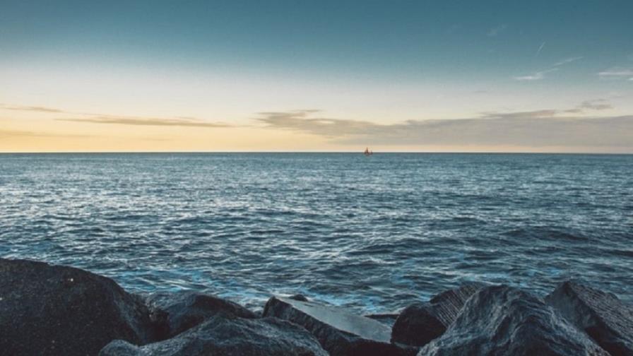 La salud de los océanos, en riesgo por el choque de intereses en alta mar La salud de los océanos, en riesgo por el choque de intereses en alta mar