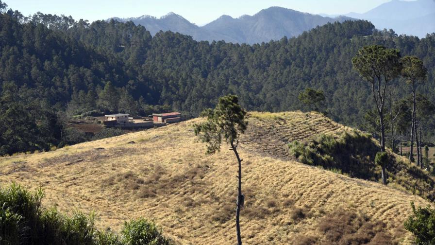 Campesinos desalojados en Valle Nuevo piden les permitan trabajar en otros predios