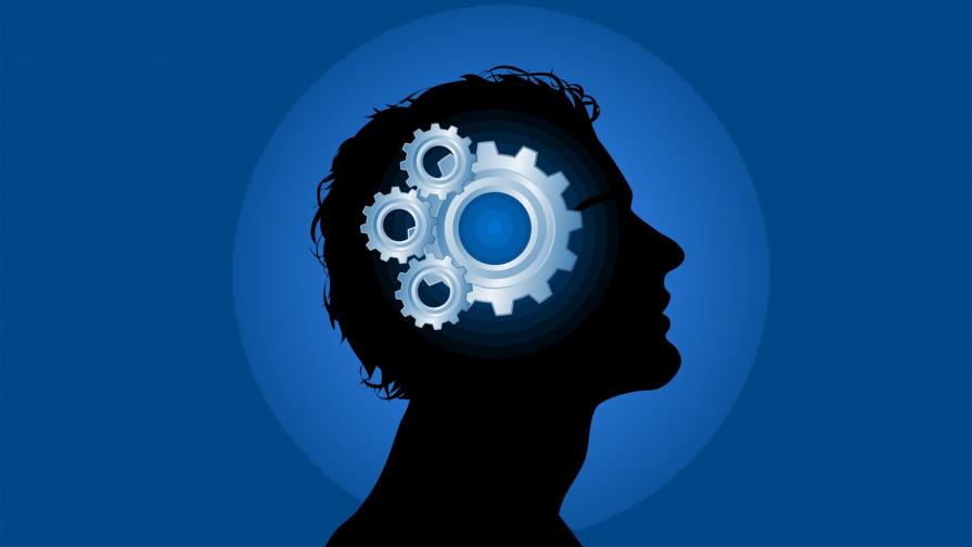 Racionalidad económica, carreteo verde y racionalidad política Racionalidad económica, carreteo verde y racionalidad política