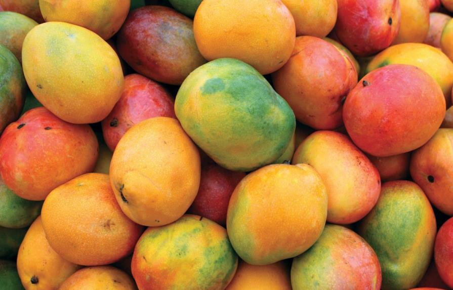 Baní, la capital del mango, celebra Expo Mango 2018