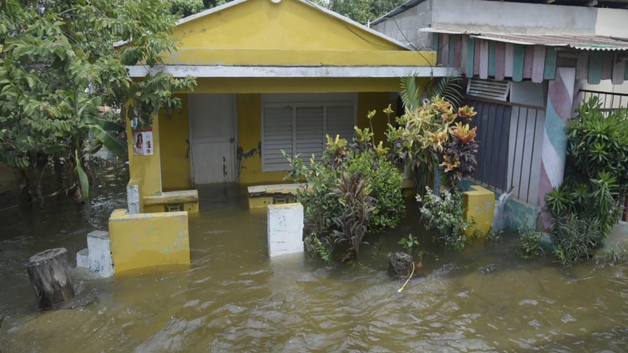 Aumentan los fallecimientos por leptospirosis Aumentan los fallecimientos por leptospirosis