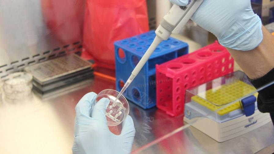 Medicina de precisión es eficaz para tratar leucemina linfocítica crónica