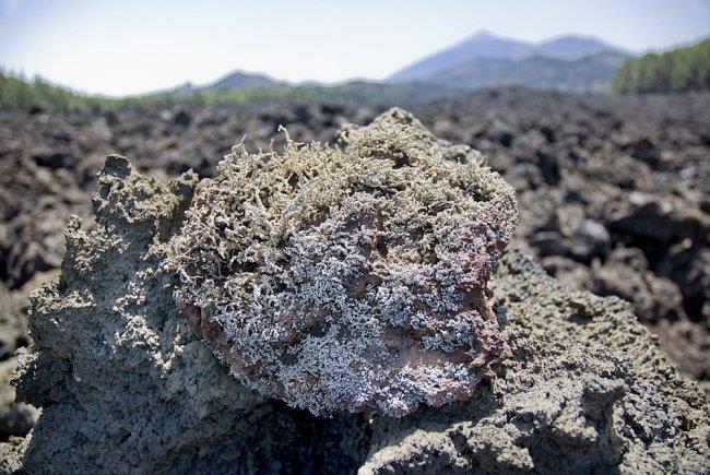 Científicos someten a estudios el material volcánico para evaluar la estabilidad de los taludes