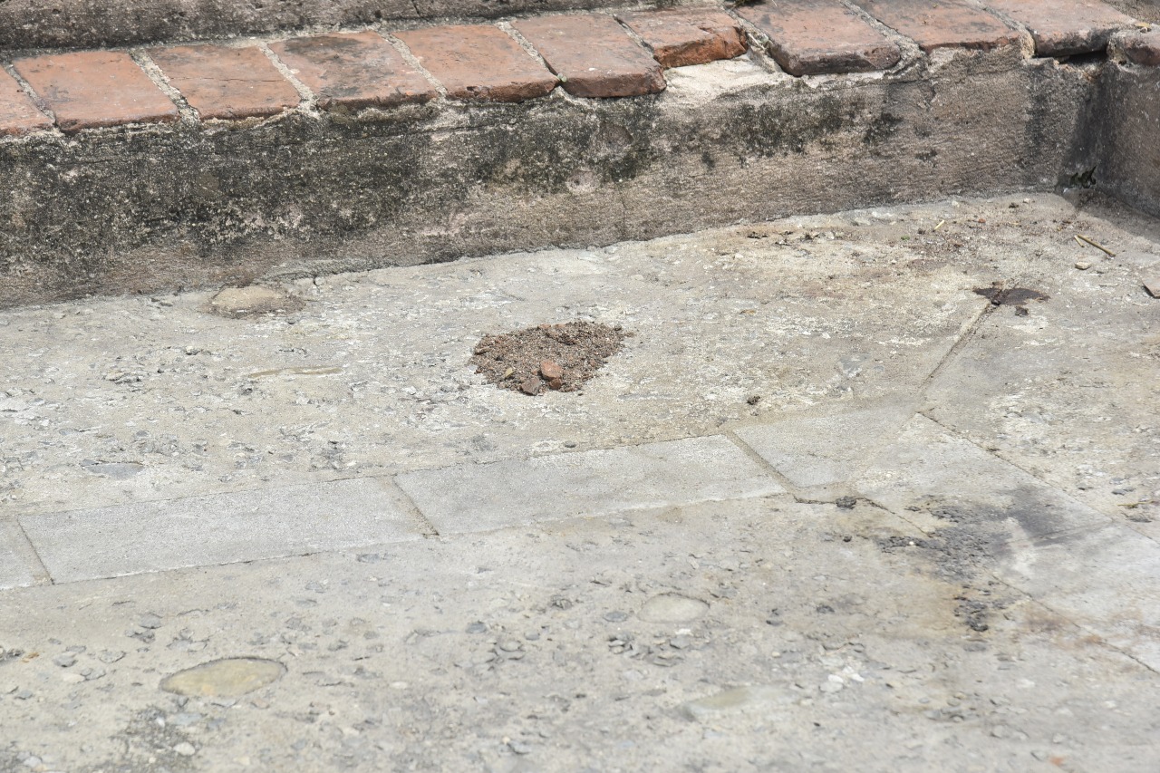 Heces fecales de las personas que ocupan el lugar en las noches.