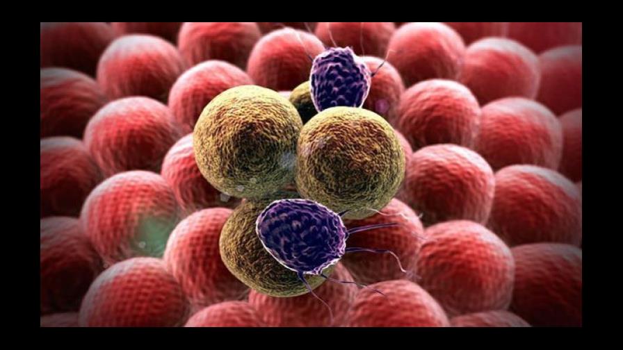 Descubren cómo eliminar las células tumorales durmientes que causan recaídas Descubren cómo eliminar las células tumorales durmientes que causan recaídas