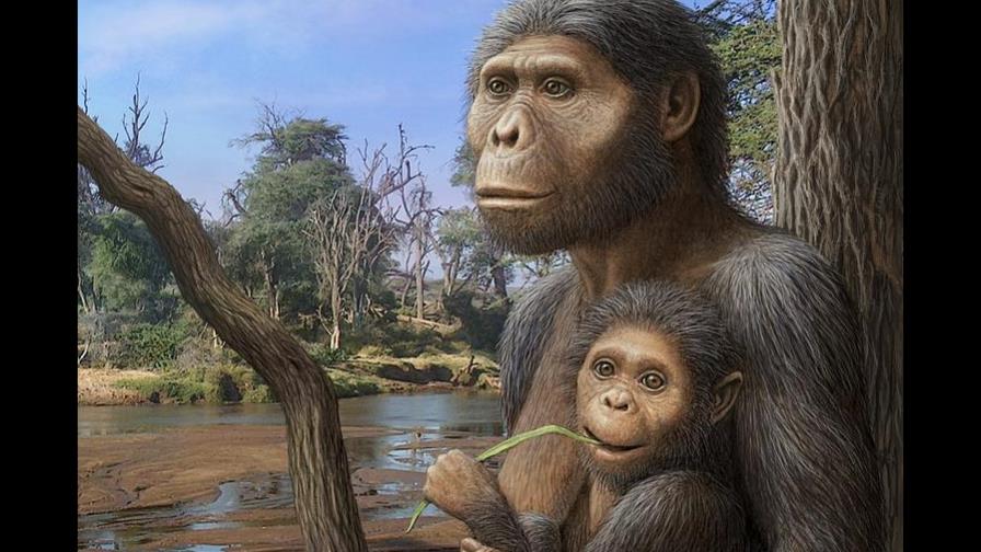 Los restos del ‘bebé de Lucy’ prueban que los niños homínidos evitaban andar