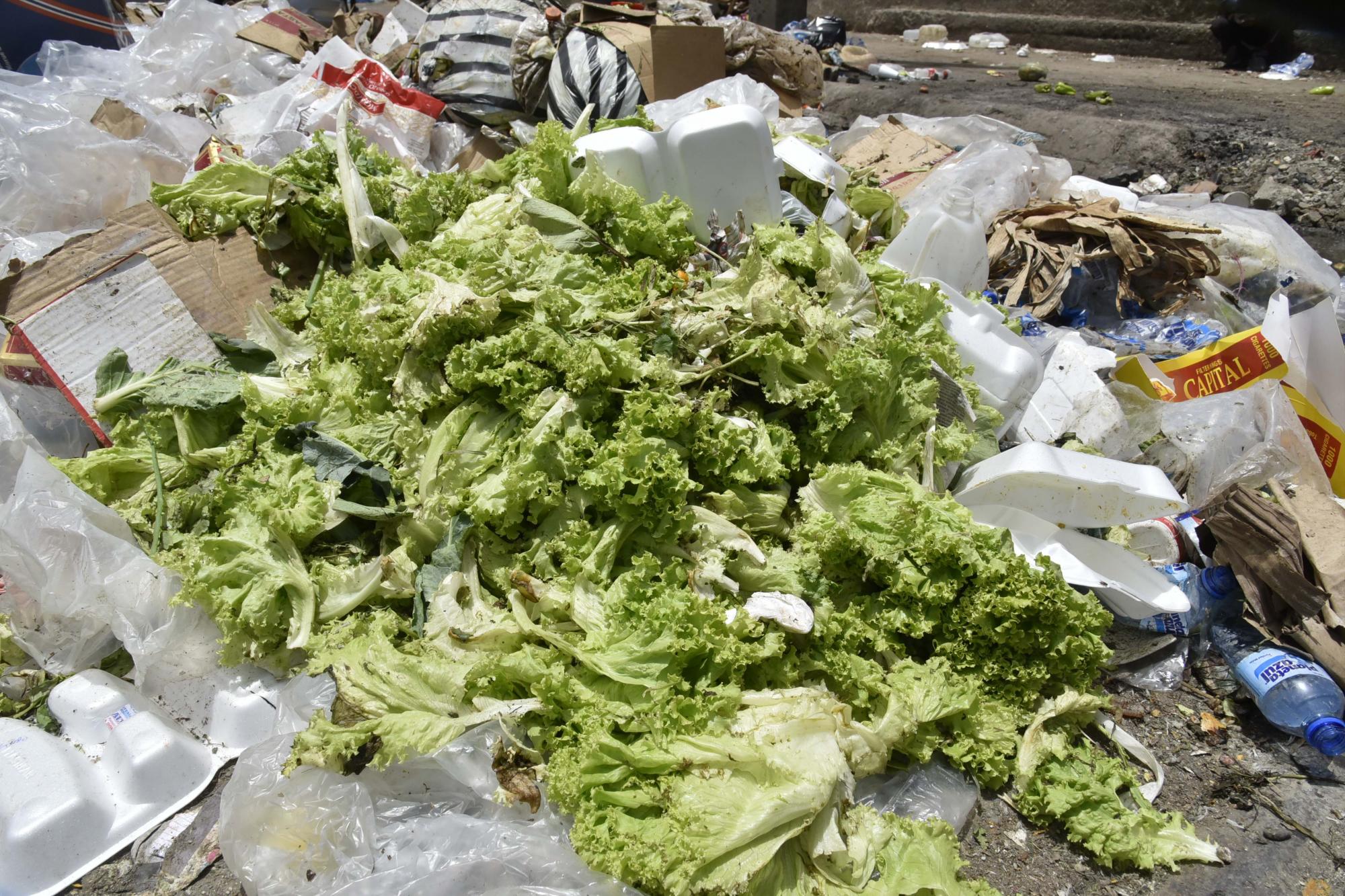 La lechuga es señalada como uno de los vegetales que más rápido se descompone y genera más pérdida a vendedores.