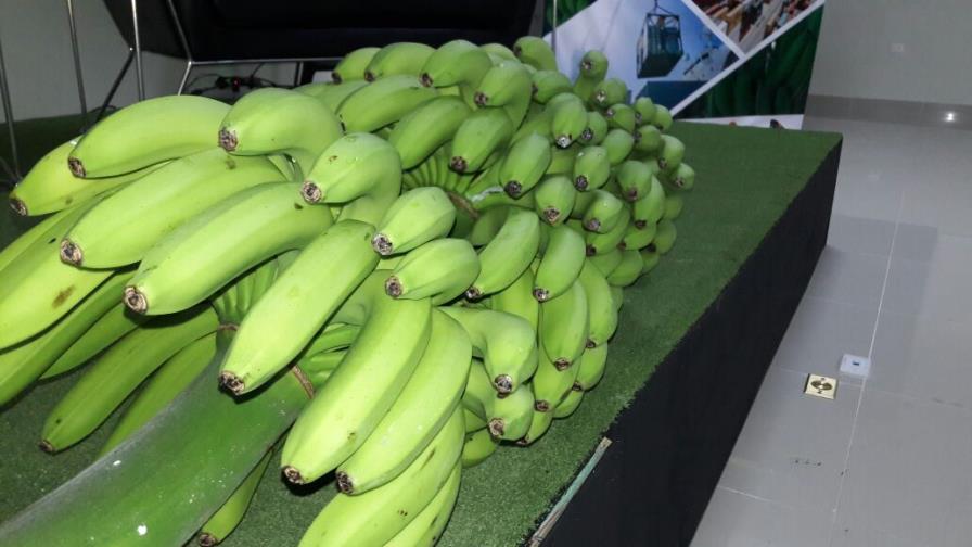 Certificación abre las puertas de productores a otros mercados Certificación abre las puertas de productores a otros mercados