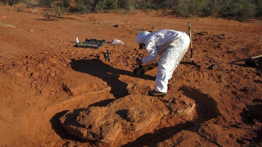 Descubren en Argentina dinosaurio gigante de más de 200 millones de años