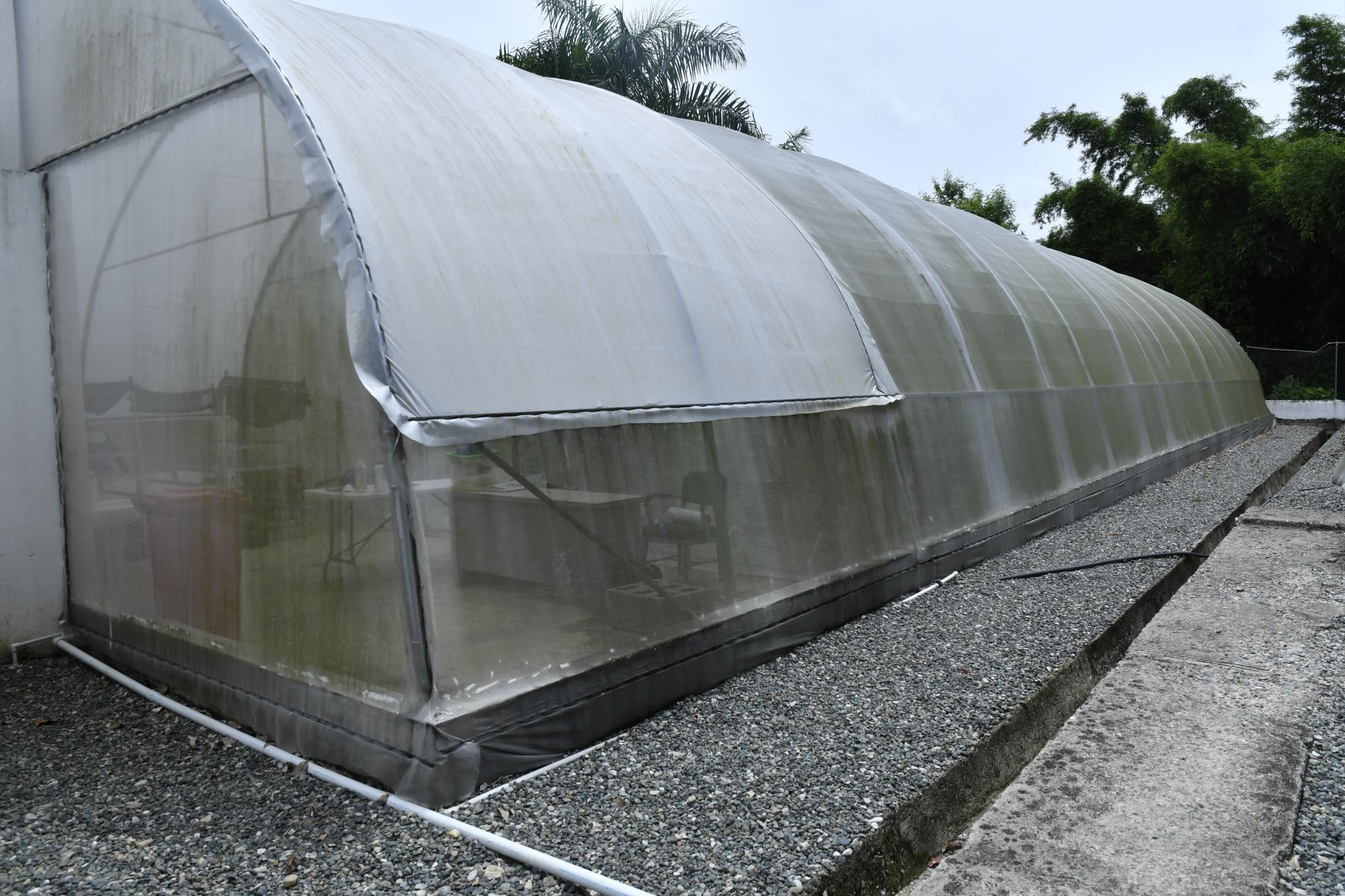 Vista exterior de uno de los cuatro viveros de plantas sanas de Pantoja.