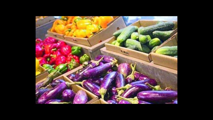 Alimentos suben 5.38 % en un año Alimentos suben 5.38 % en un año