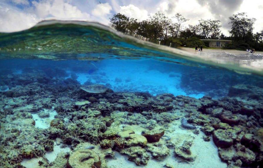 Las especies invasoras ponen en peligro los arrecifes de coral isleños