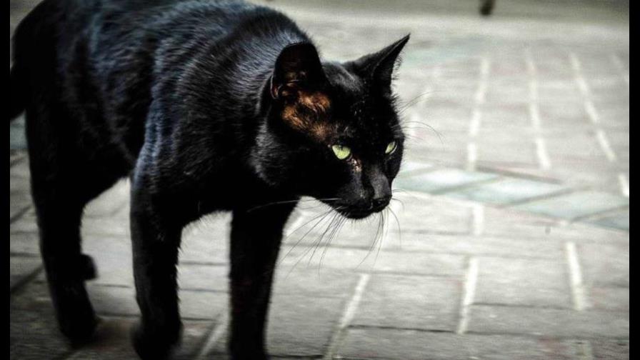 ¿Crees en la mala suerte? Hoy es viernes 13 ¿Crees en la mala suerte? Hoy es viernes 13