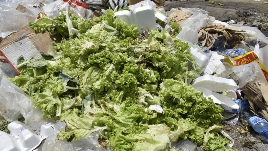 Proyecto de ley plantea reducir desperdicios de alimentos y donarlos a instituciones caritativas