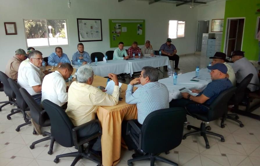 Confederación Nacional de Productores Agropecuarios busca recuperar siembra de ajo en Constanza