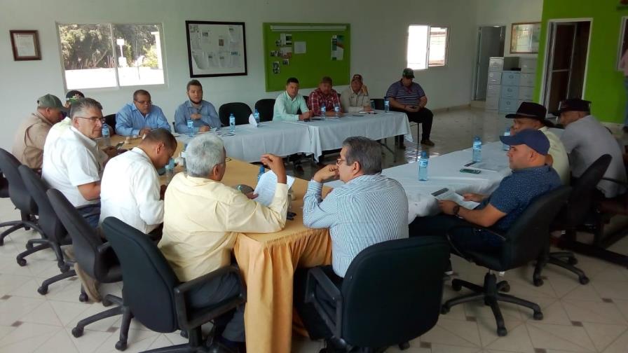 Confederación Nacional de Productores Agropecuarios busca recuperar siembra de ajo en Constanza