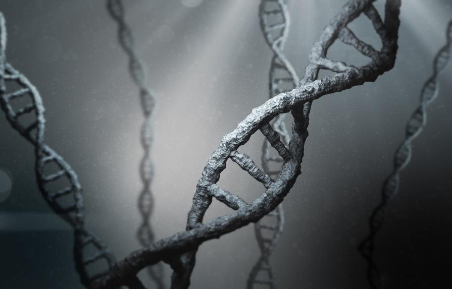 Técnica de edición genética provoca mutaciones inesperadas, según estudio