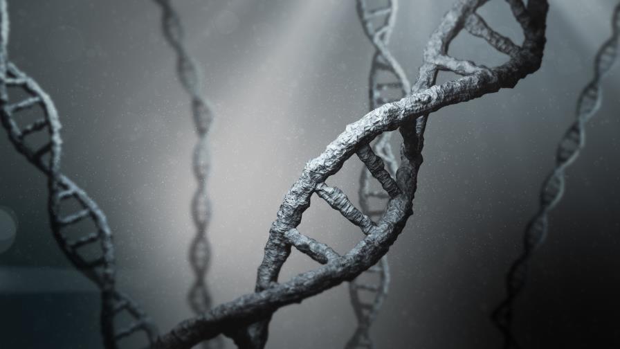 Técnica de edición genética provoca mutaciones inesperadas, según estudio