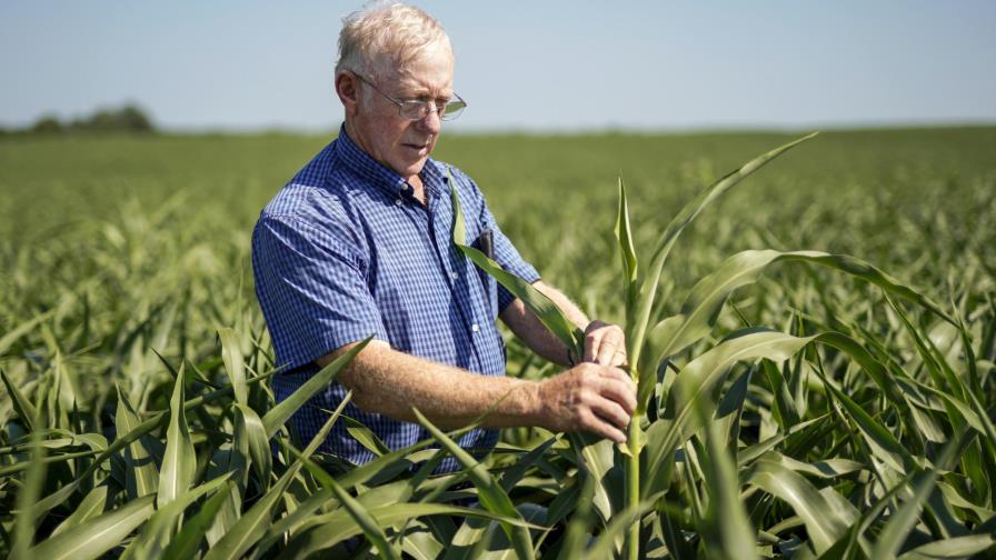Inmigración, tarifas: panorama sombrío para el campo en EEUU Inmigración, tarifas: panorama sombrío para el campo en EEUU