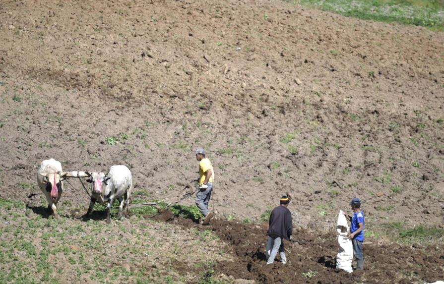 Gobierno reubicará a cien agricultores desalojados del parque de Valle Nuevo