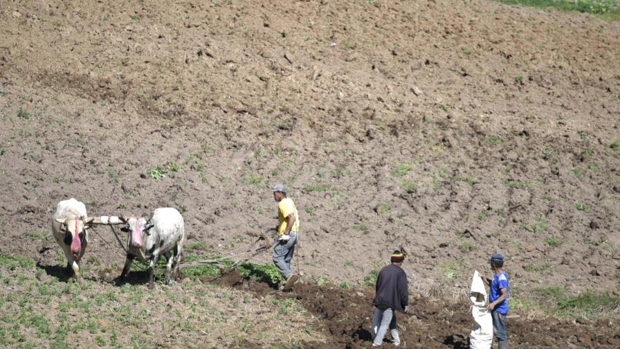 Gobierno reubicará a cien agricultores desalojados del parque de Valle Nuevo