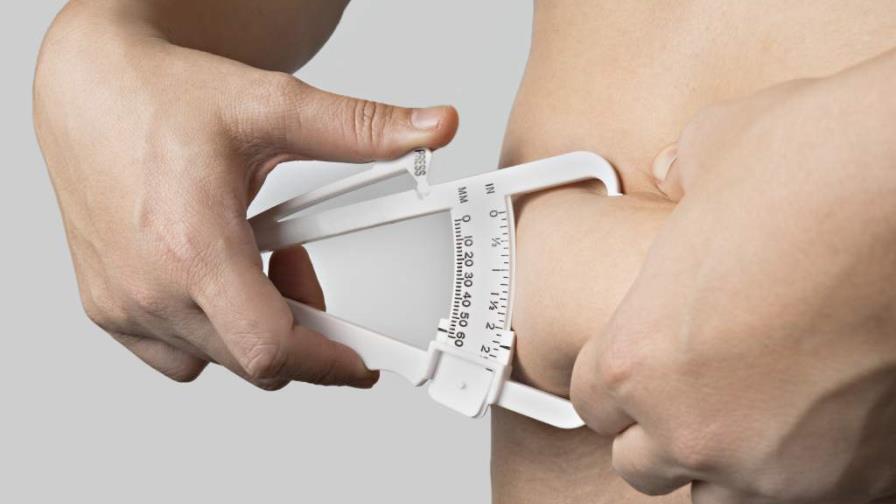 Descubren cómo activar la grasa “buena”, esencial para controlar la obesidad