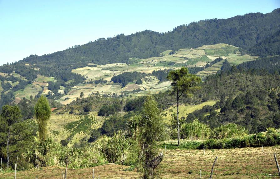 Ecologistas del Cibao respaldan acciones de Medio Ambiente en Valle Nuevo