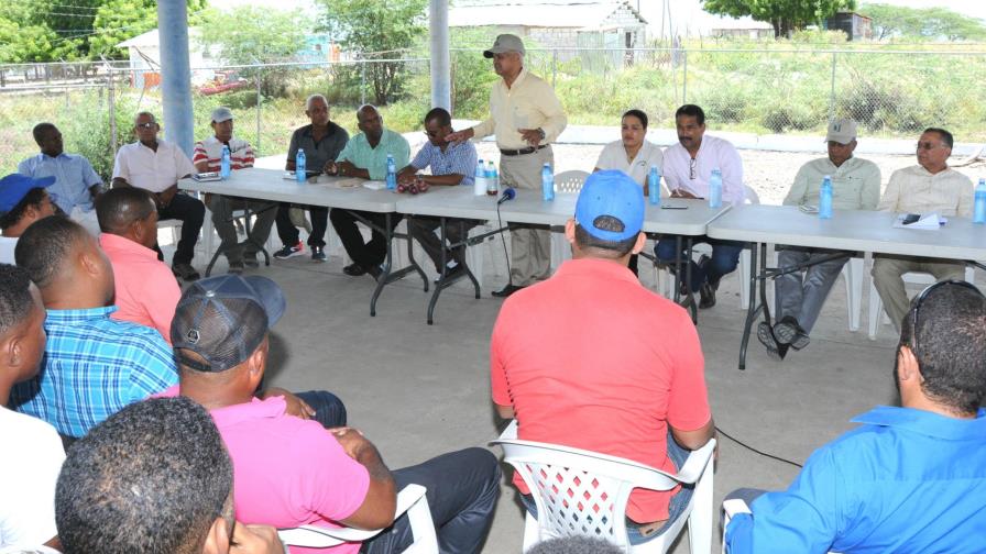 Agricultura buscará mercado a 73 mil quintales de cebolla