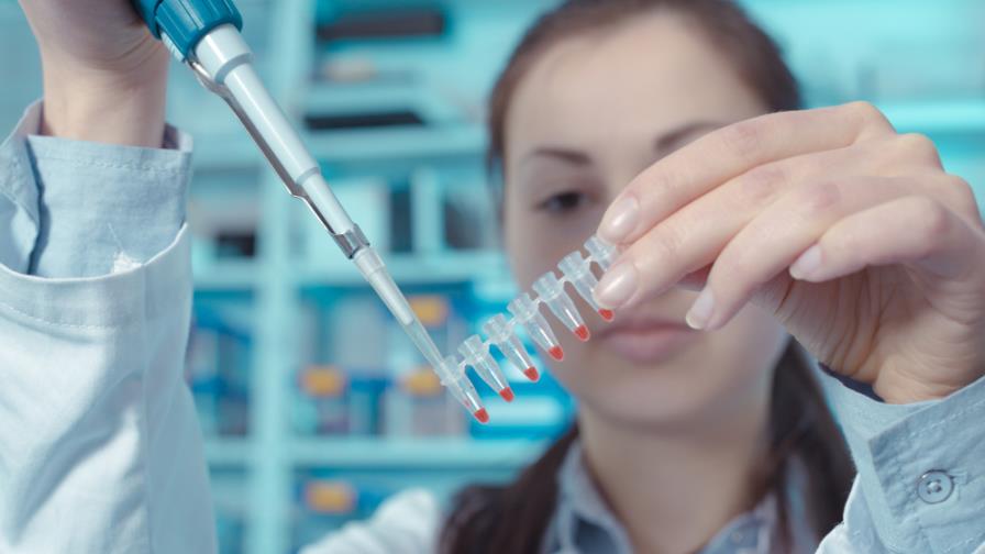 China abre centro de investigación para la clonación de primates 