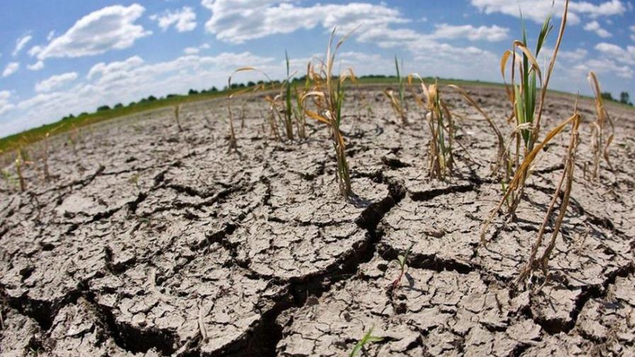 La FAO vigilará la sequía en Centroamérica para alertar sobre los riesgos